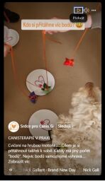 Canisterapie s Hankou